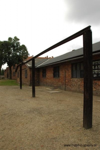 Auschwitz 09